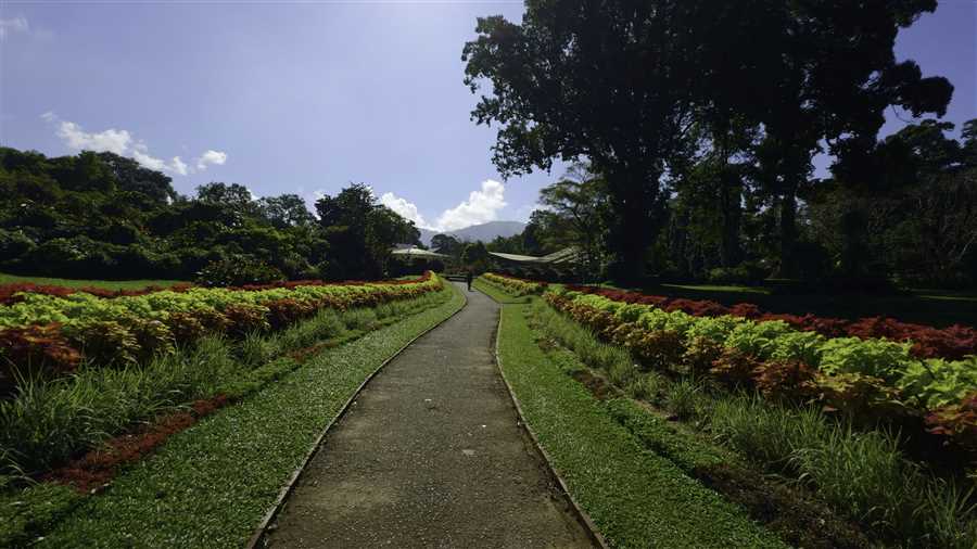 Amazing Sri Lanka Superior Tour