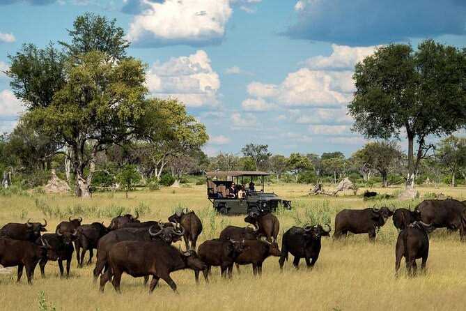 Chobe Nature Retreat