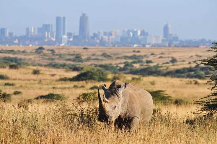 7 Days Unexplored Kenya Tour