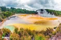 Magnificent New Zealand