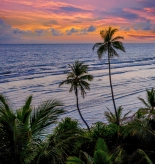 Goa