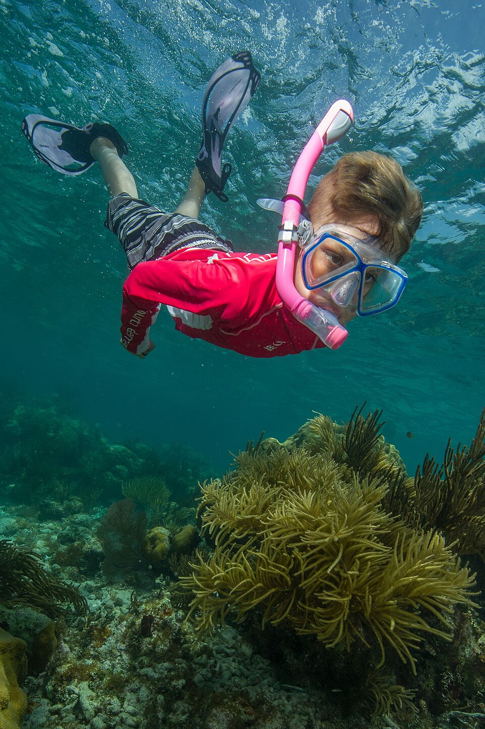 A child snorkelling over a coral reef
