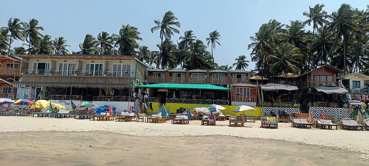 Palm trees and beach huts along Palolem Beach, Goa