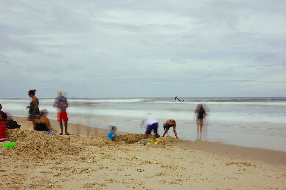 Children digging in the sand on a beach