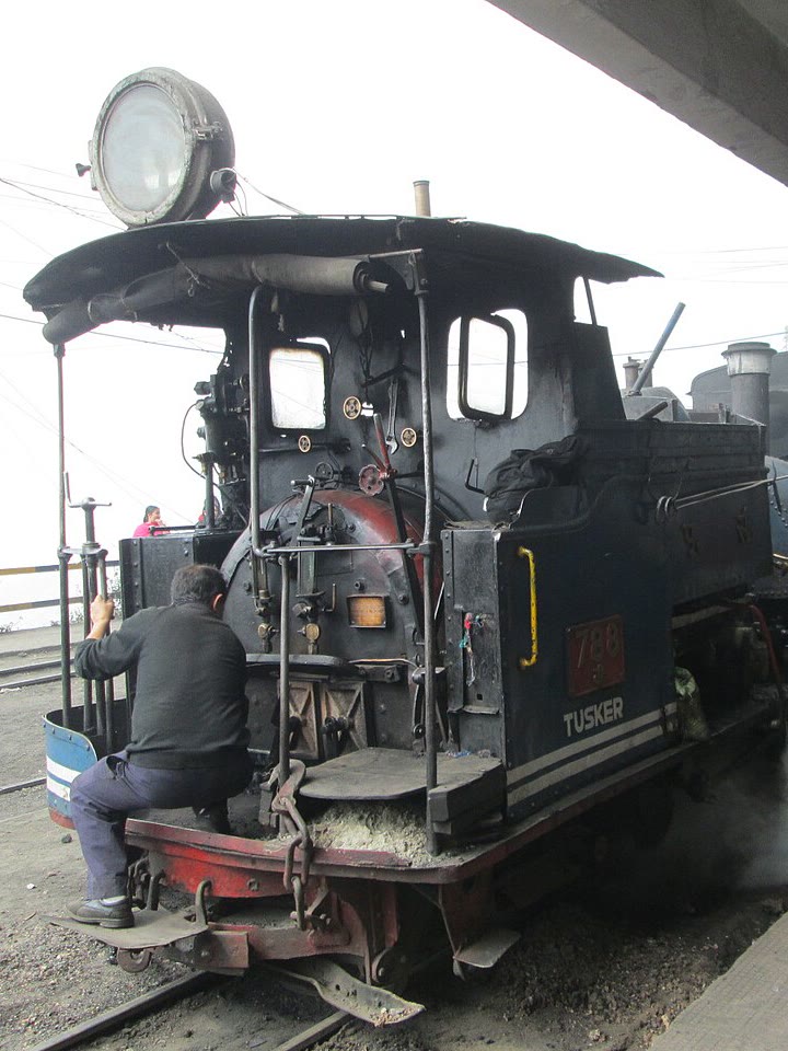 A steam engine of the Darjeeling Himalayan Railway at the station