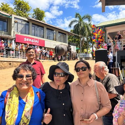 Our travellers as elephants walk past them in Sri Lanka