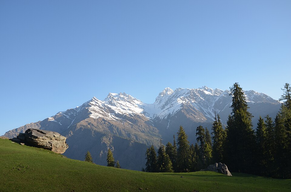 Snow peaks above a meadow and pine forest in the Himalaya