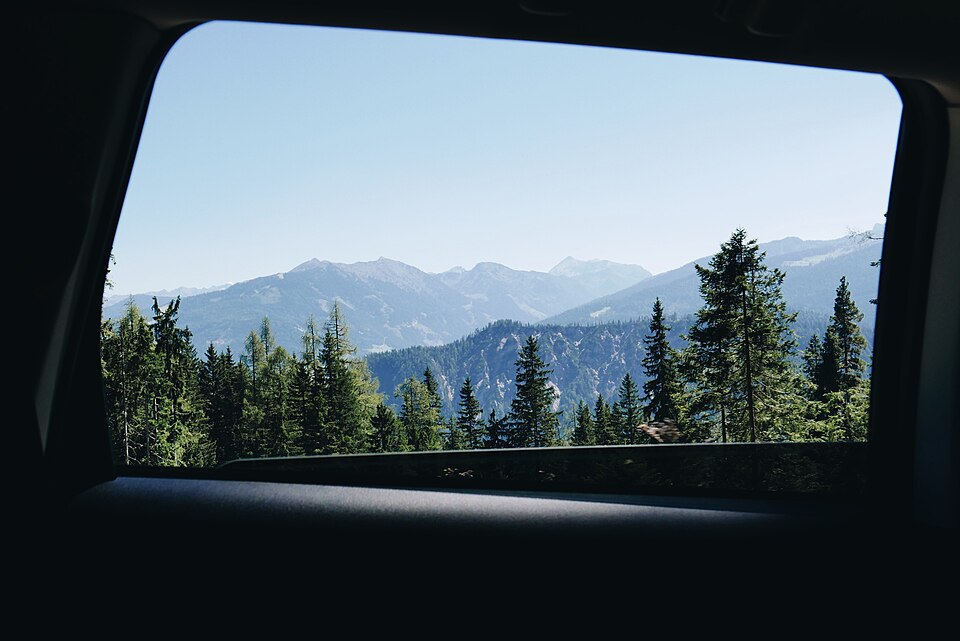 Pine-covered mountains through a car window