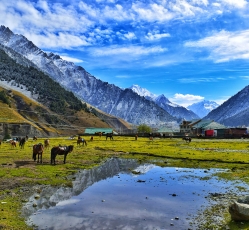 Kashmir